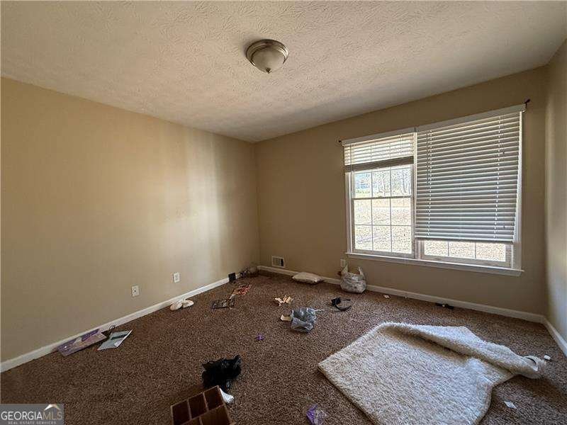 430 Oakland Circle Mcdonough - 11