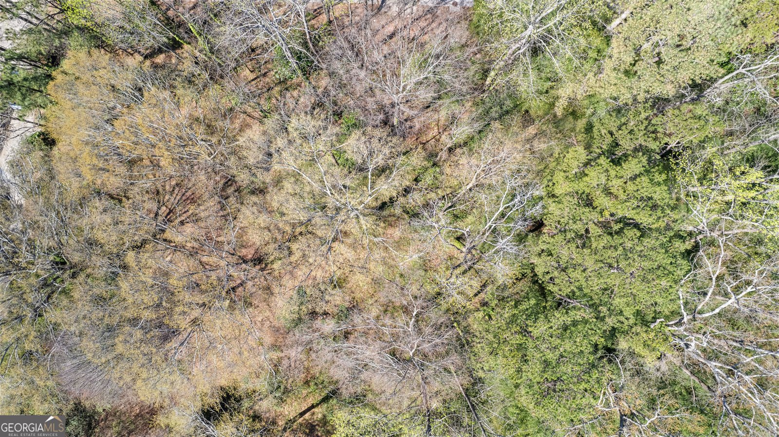 4694 Puckett Street Forest Park - 22
