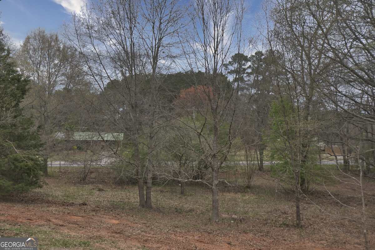 4326 Ellison Farm Road Braselton - 8