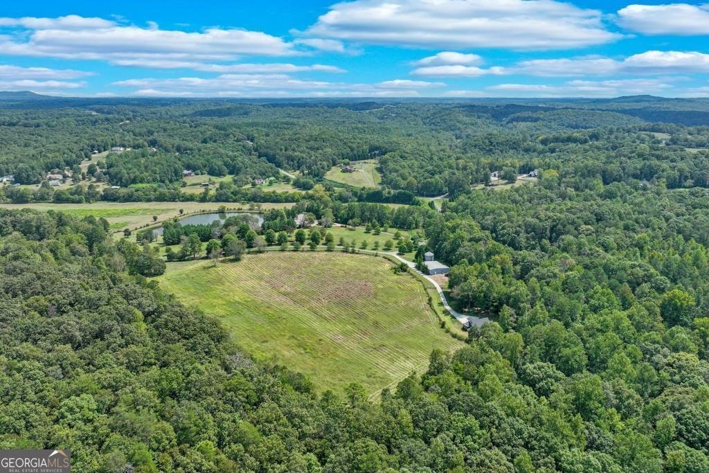 6303 Ben Parks Road Murrayville - 123