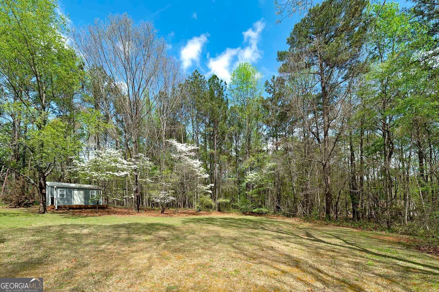 195 Creekside Way McDonough - 1