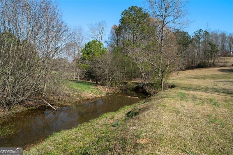 680 MILLIGAN CREEK Road Roopville - 4