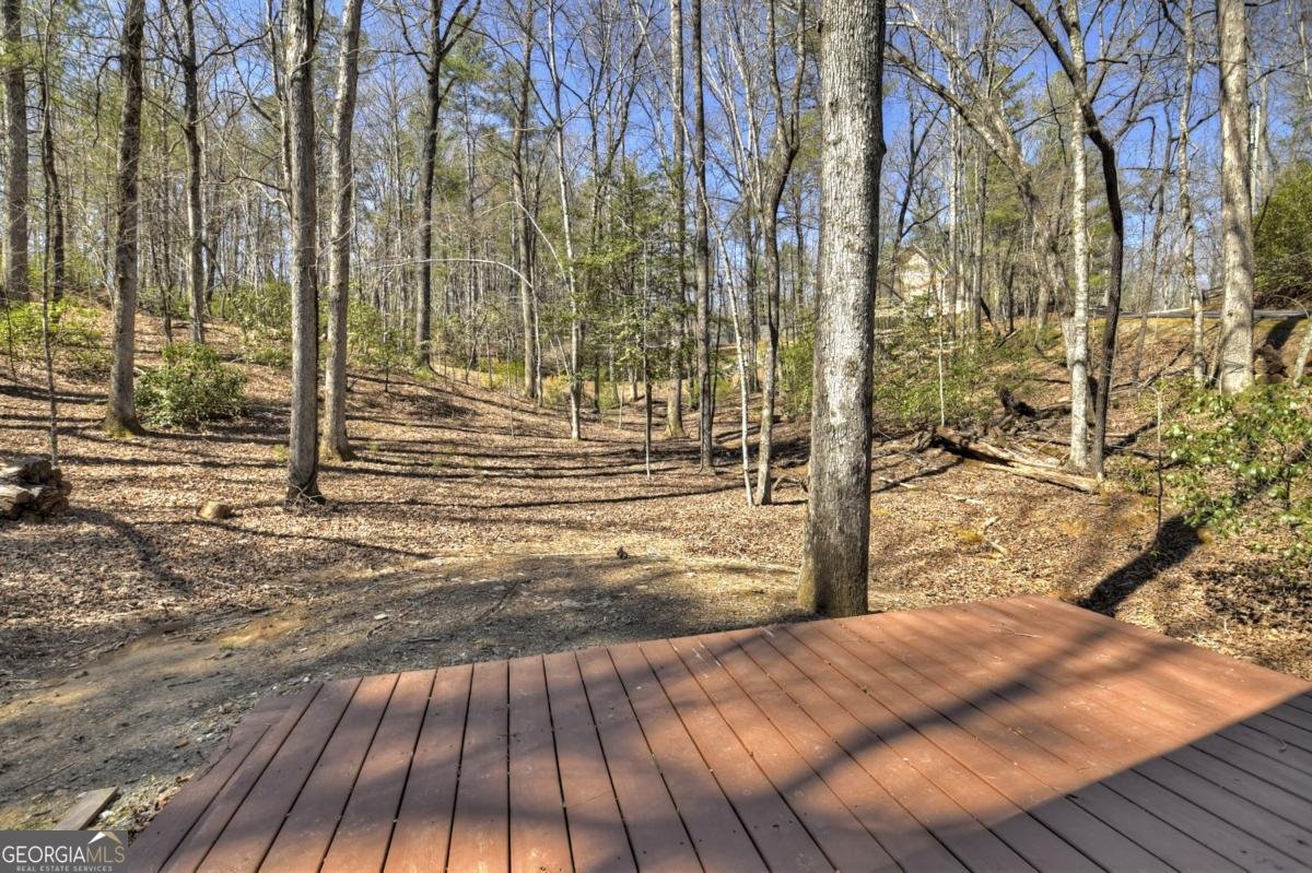 30 Okemah Court Ellijay - 58