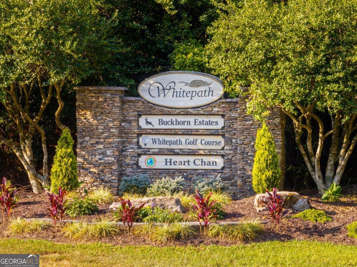 30 Okemah Court Ellijay - 61