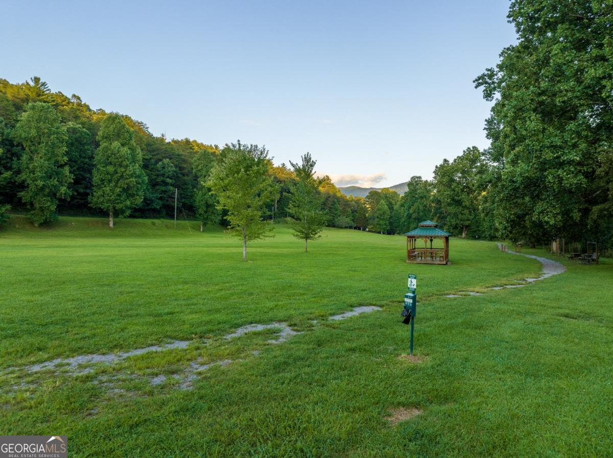 30 Okemah Court Ellijay - 62