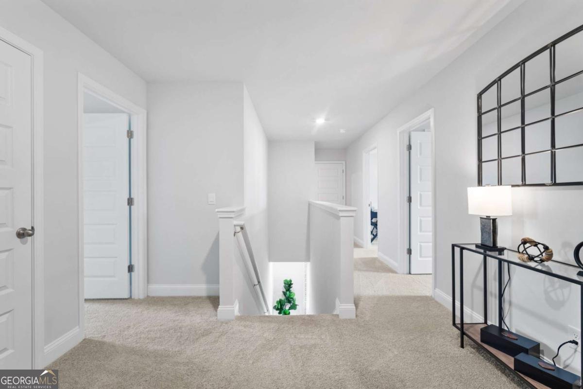 309 Royal Fern Lane Statesboro - 20