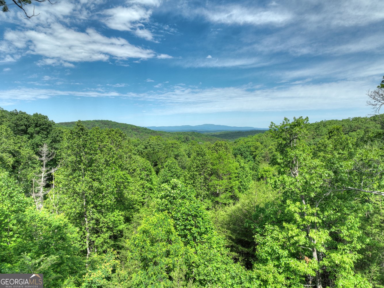 54 Channing Hollow Morganton - 44