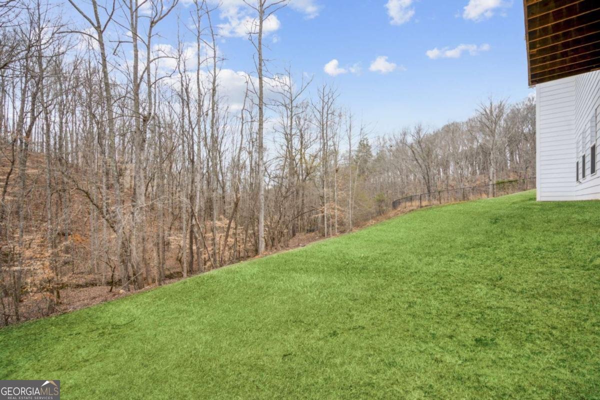 6185 White Way Gainesville - 35