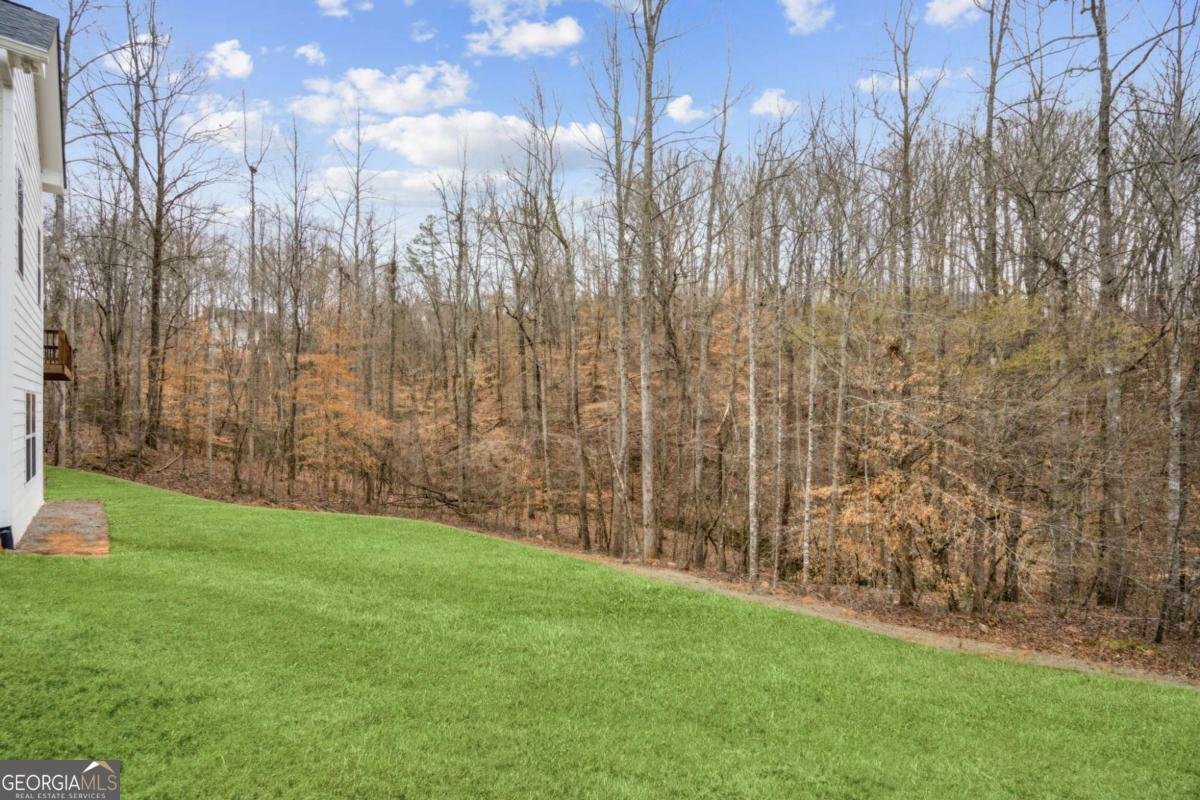 6185 White Way Gainesville - 36