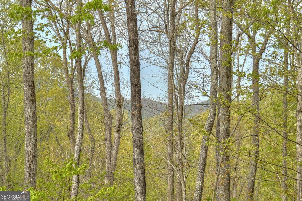 244 Wilderness Way Ellijay - 3