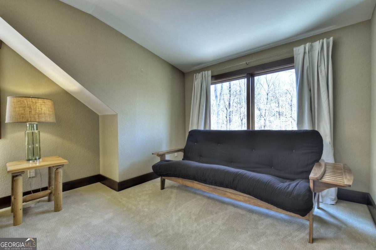 244 Wilderness Way Ellijay - 50
