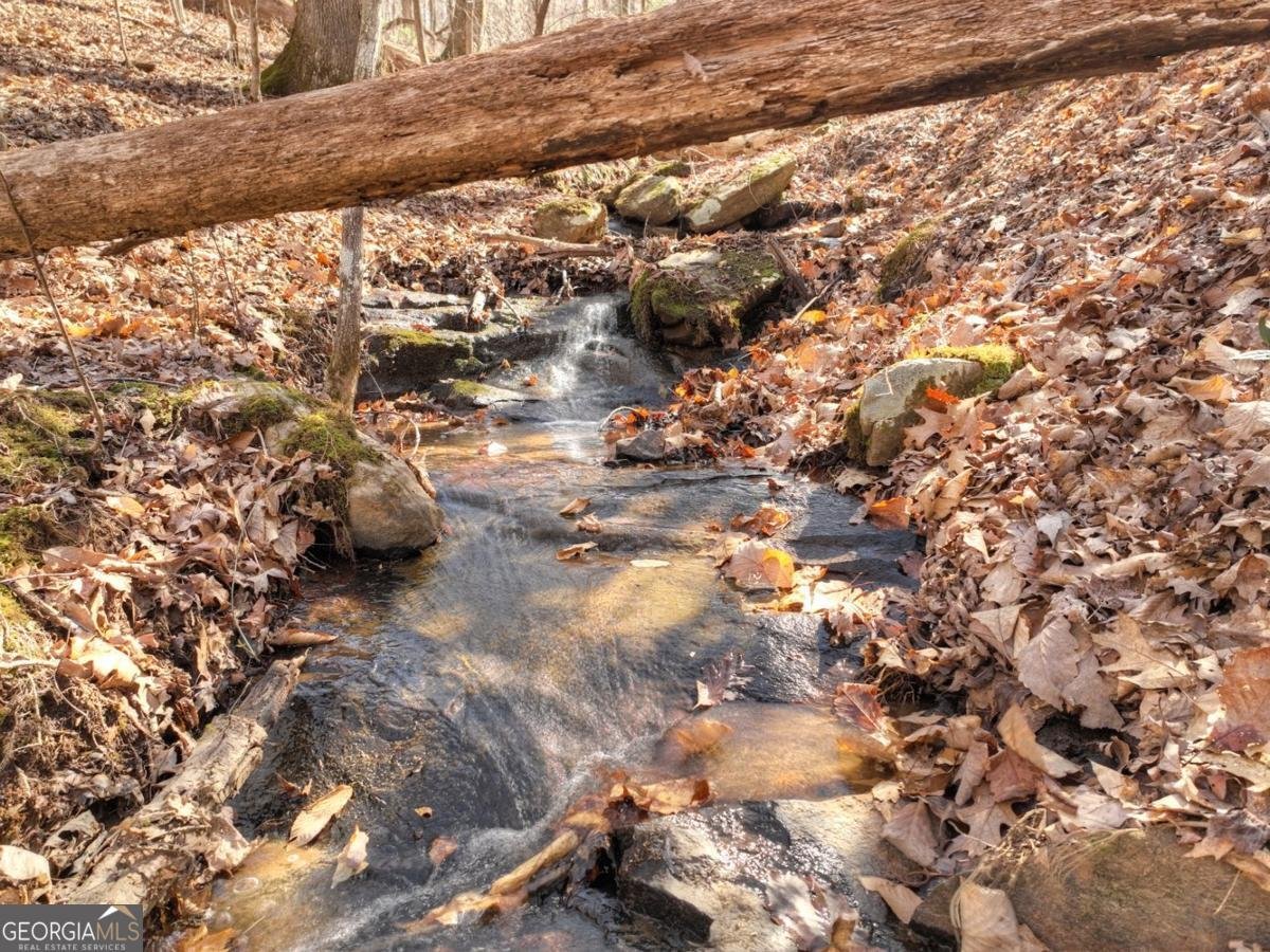 244 Wilderness Way Ellijay - 63