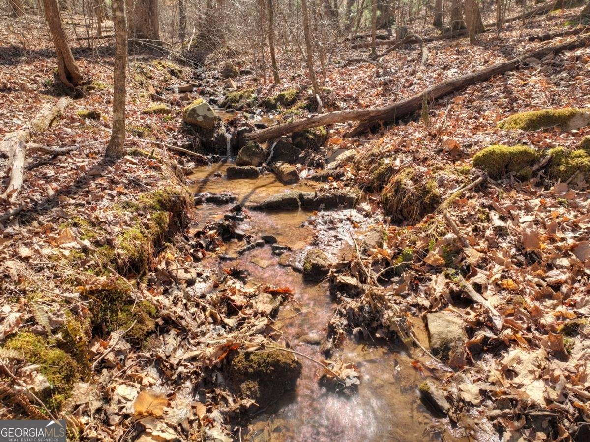 244 Wilderness Way Ellijay - 65