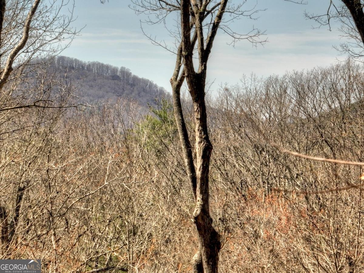 244 Wilderness Way Ellijay - 66