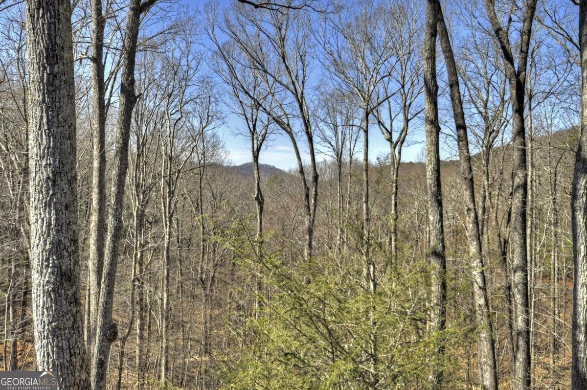 244 Wilderness Way Ellijay - 74