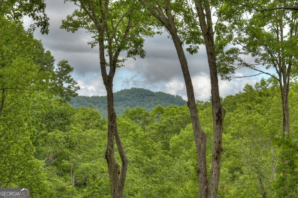 244 Wilderness Way Ellijay - 81