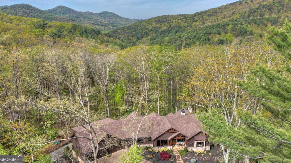 244 Wilderness Way Ellijay - 82