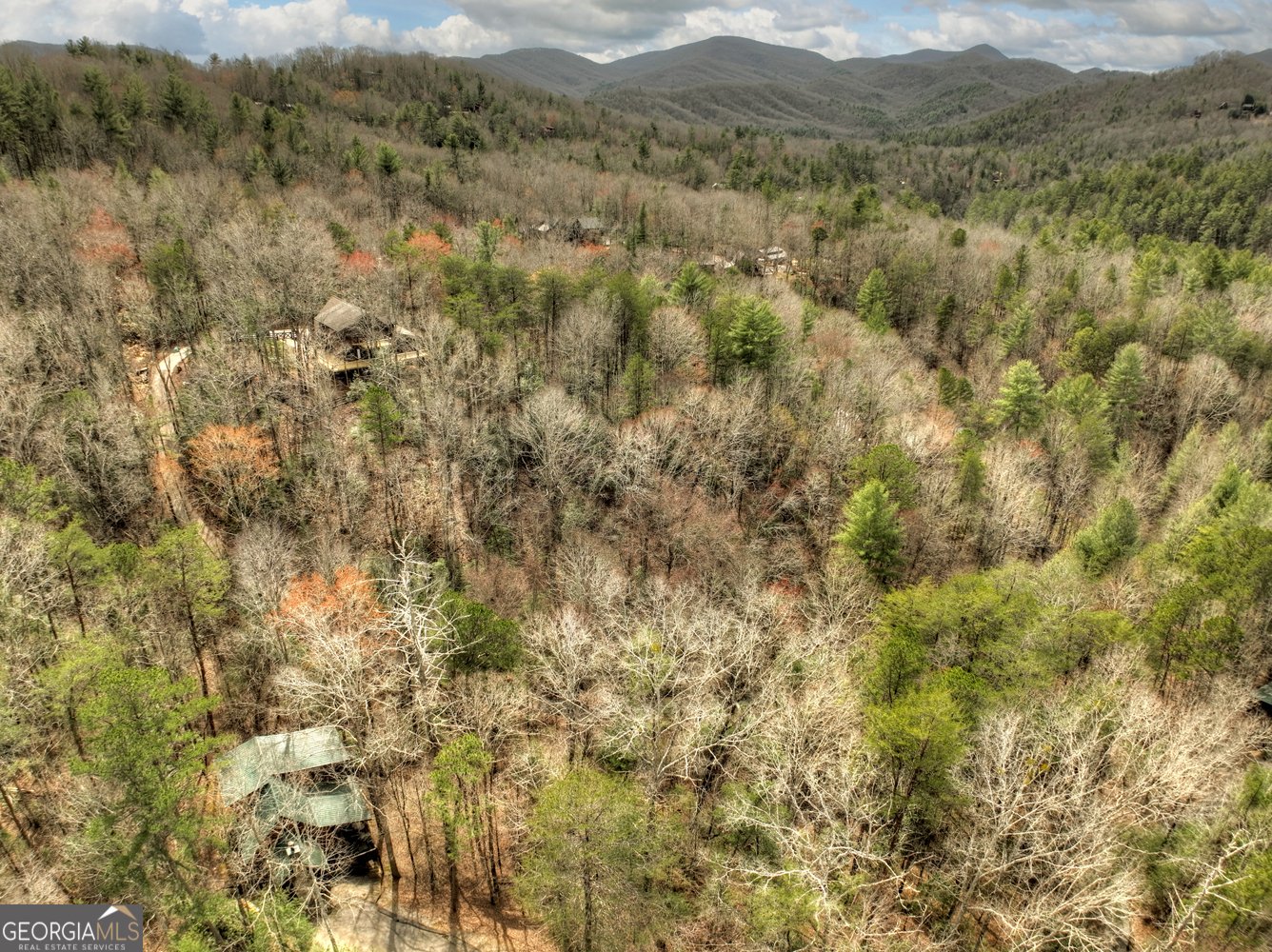 175 White Tail Ridge Road Blue Ridge - 38