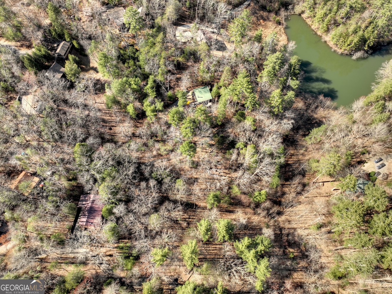 1480 Hidden Lake Drive Cherry Log - 31