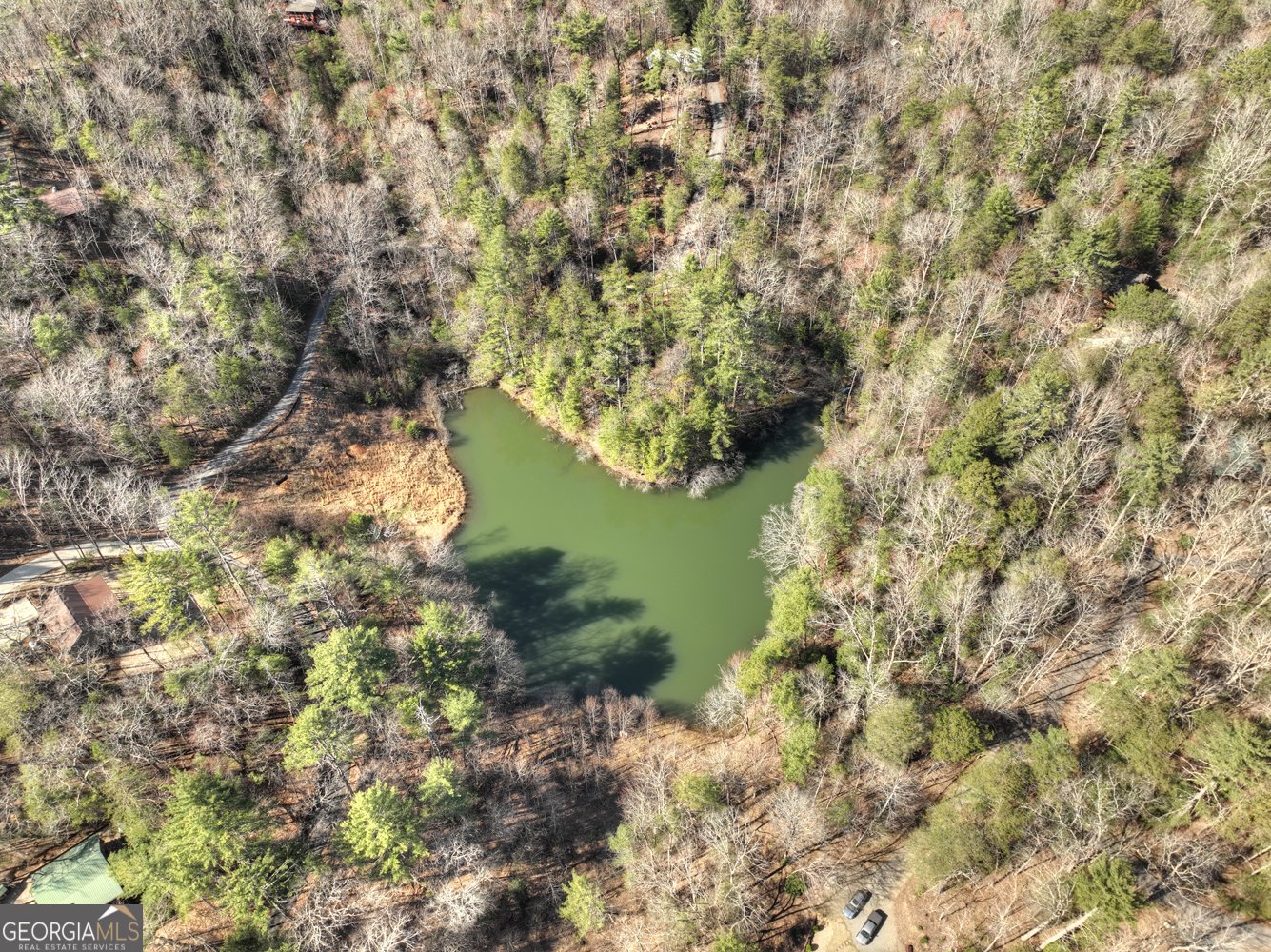 1480 Hidden Lake Drive Cherry Log - 34