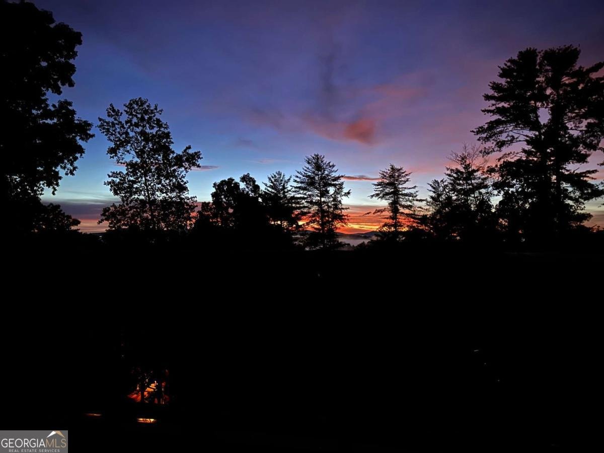 475 Parnell Drive Ellijay - 36