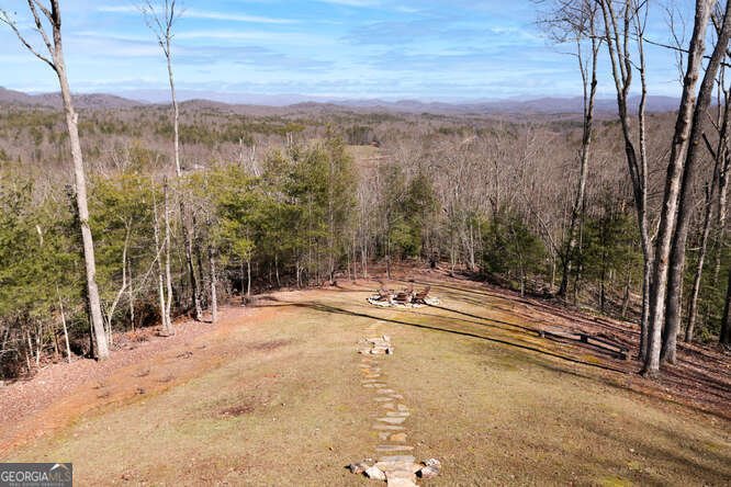 287 Scouts Overlook Lane Morganton - 67