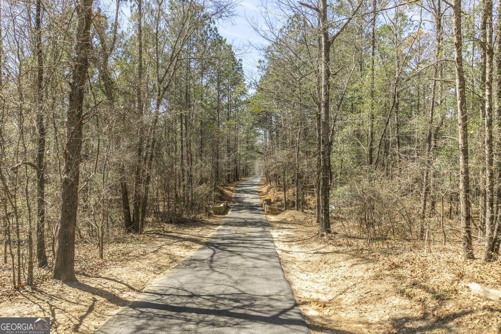 246 Wilville Road Fort Valley - 3
