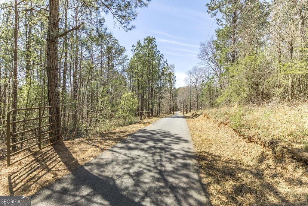 246 Wilville Road Fort Valley - 4