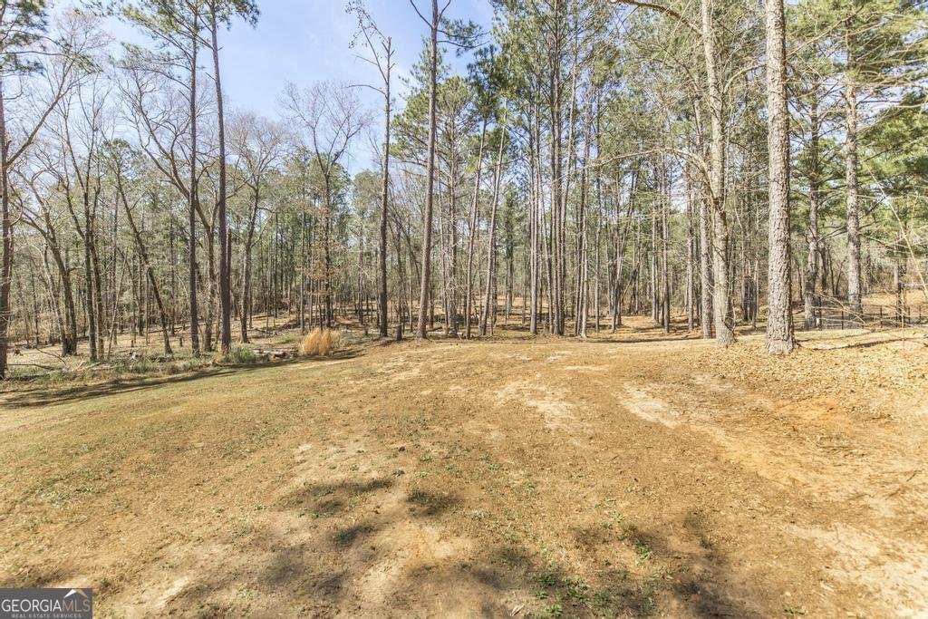 246 Wilville Road Fort Valley - 42