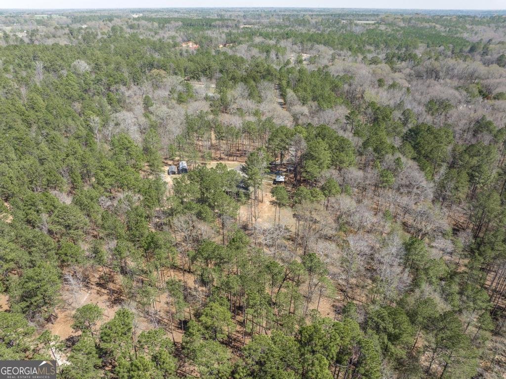 246 Wilville Road Fort Valley - 52