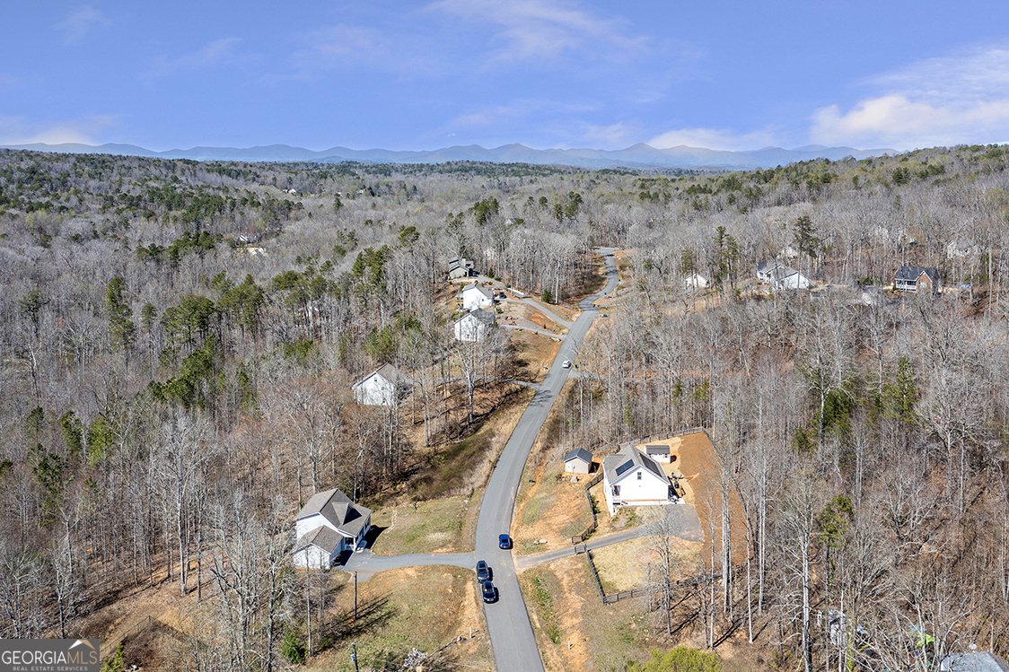 58 Estate Drive Dahlonega - 21