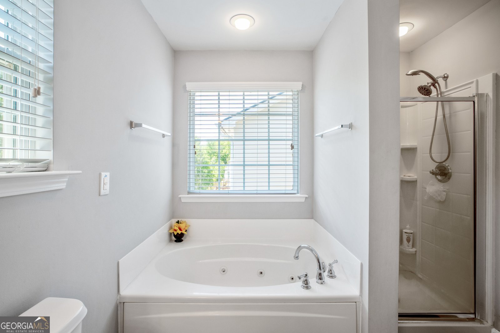 1218 LANIER SPRINGS Drive Buford - 2