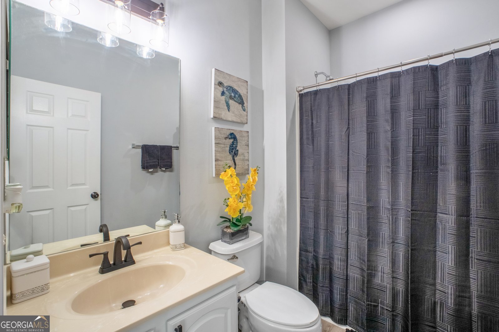 1218 LANIER SPRINGS Drive Buford - 23