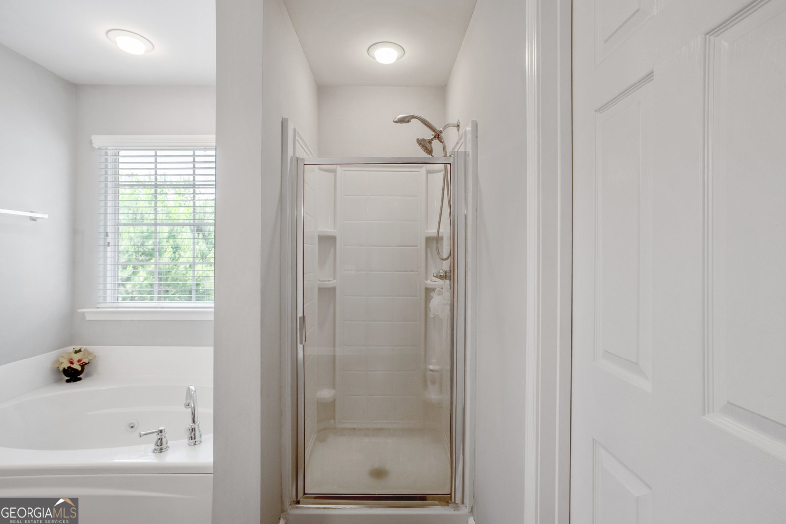 1218 LANIER SPRINGS Drive Buford - 3