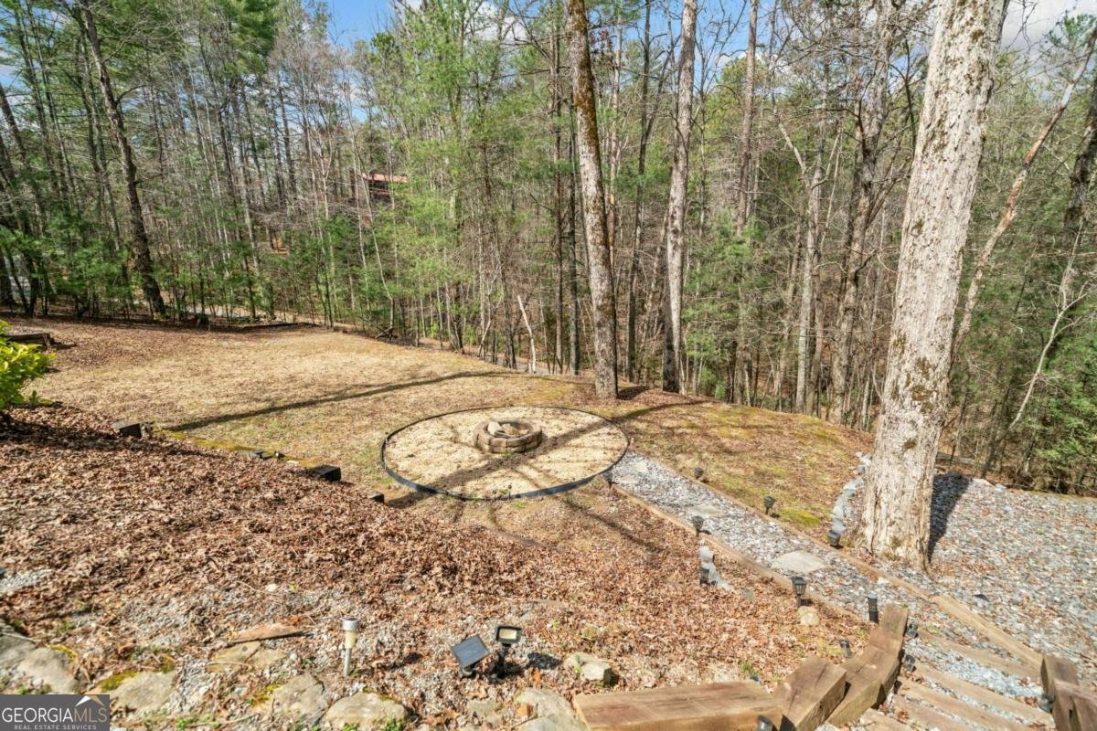 27 Alpine Drive Ellijay - 3
