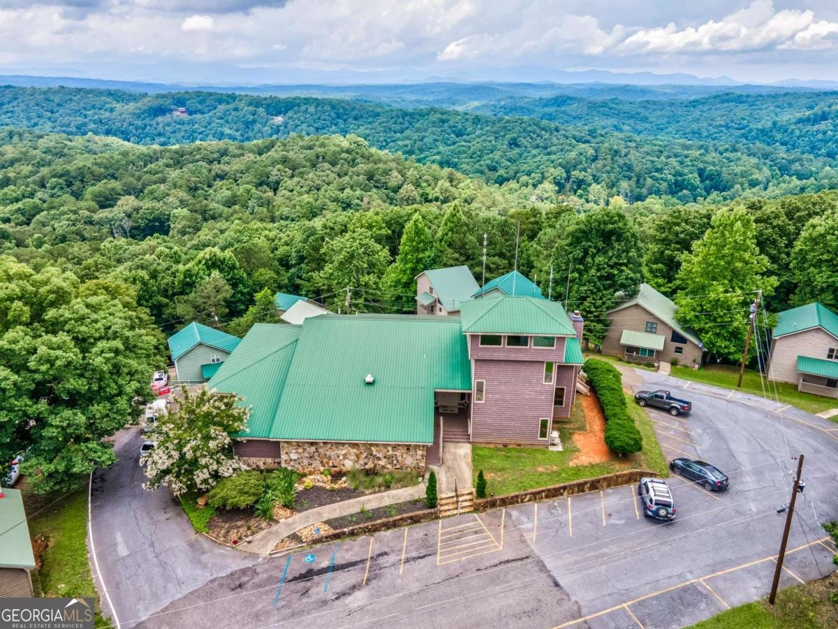27 Alpine Drive Ellijay - 46