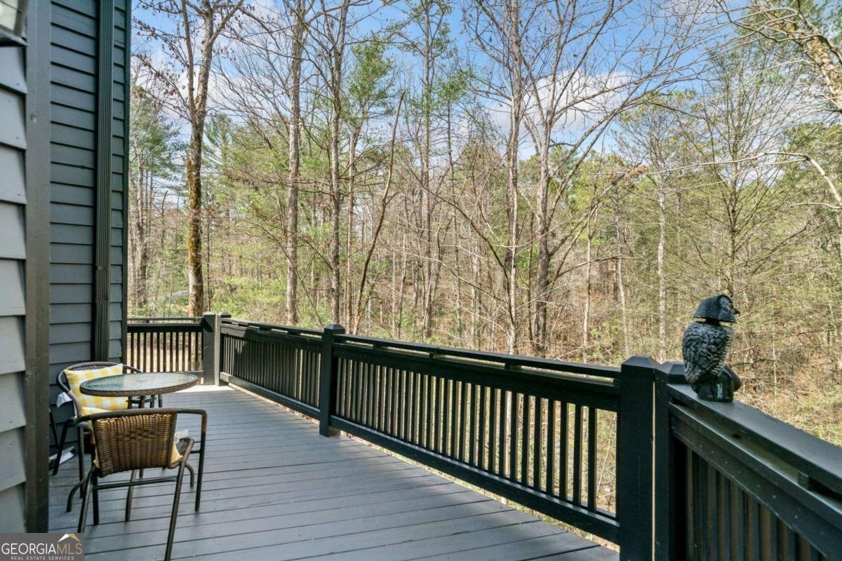 27 Alpine Drive Ellijay - 6