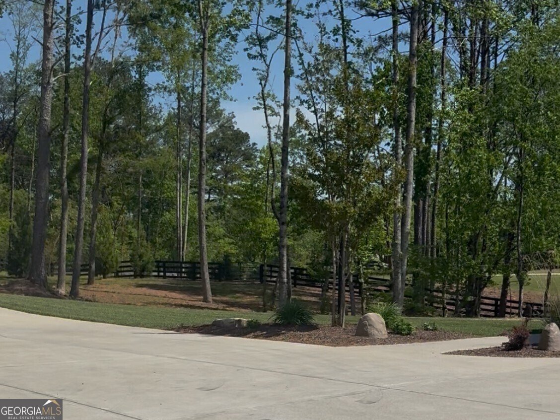 4635 Yellow Creek Road Ball Ground - 3