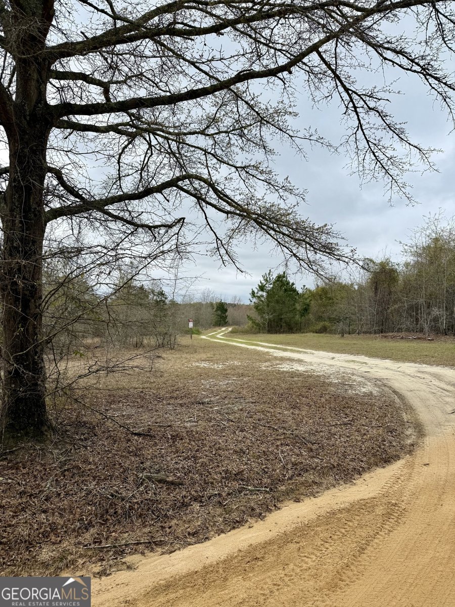 445 Winchester Road Sylvania - 2