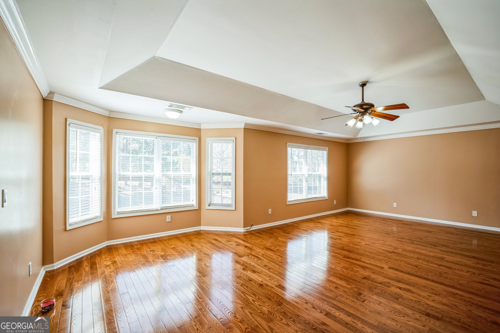 132 Westmont Way Tyrone - 19