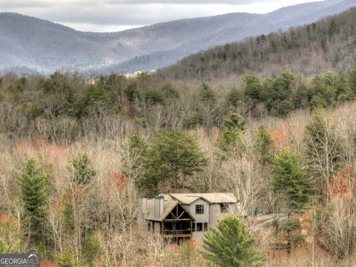 152 Oceola Drive Ellijay - 52