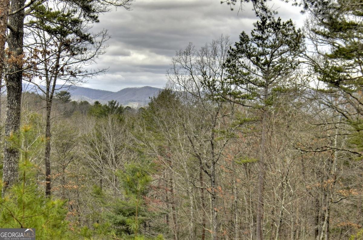 152 Oceola Drive Ellijay - 53