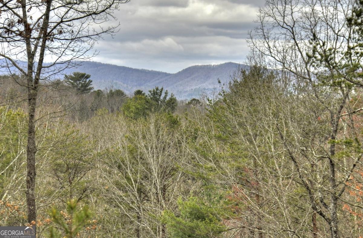 152 Oceola Drive Ellijay - 57