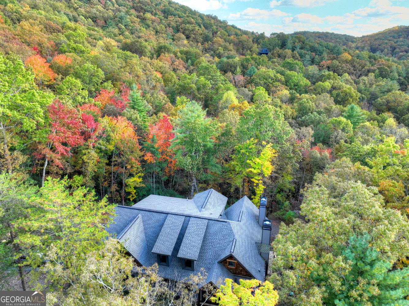 152 Oceola Drive Ellijay - 60