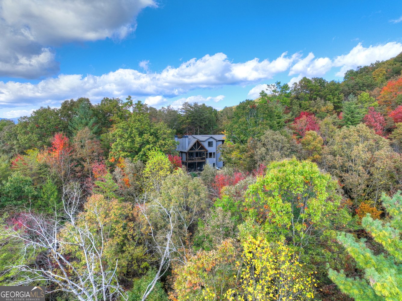 152 Oceola Drive Ellijay - 67