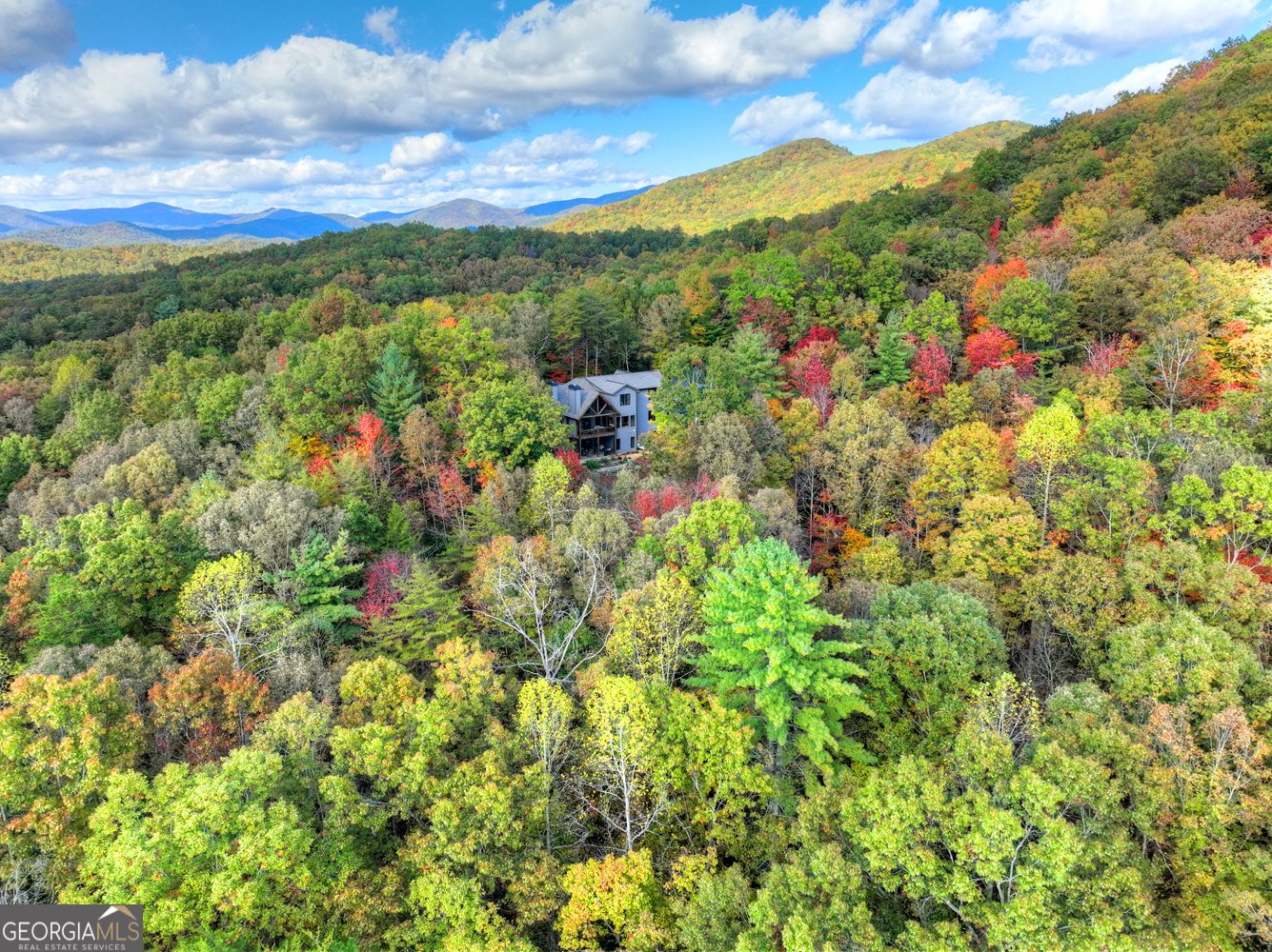 152 Oceola Drive Ellijay - 68