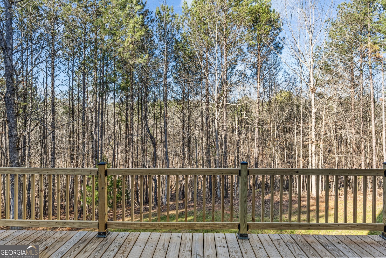 3095 Surry Ridge Drive Watkinsville - 65
