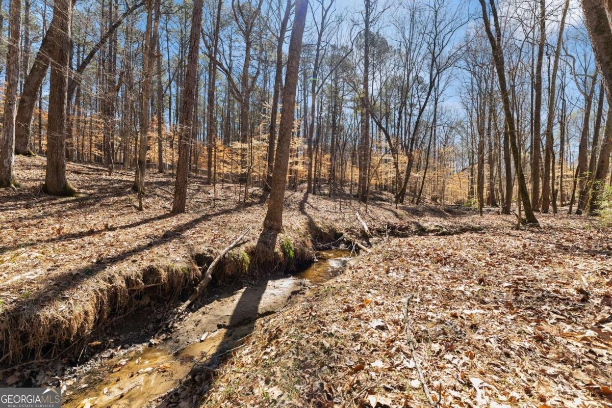 400 Surveyors Point Suwanee - 46