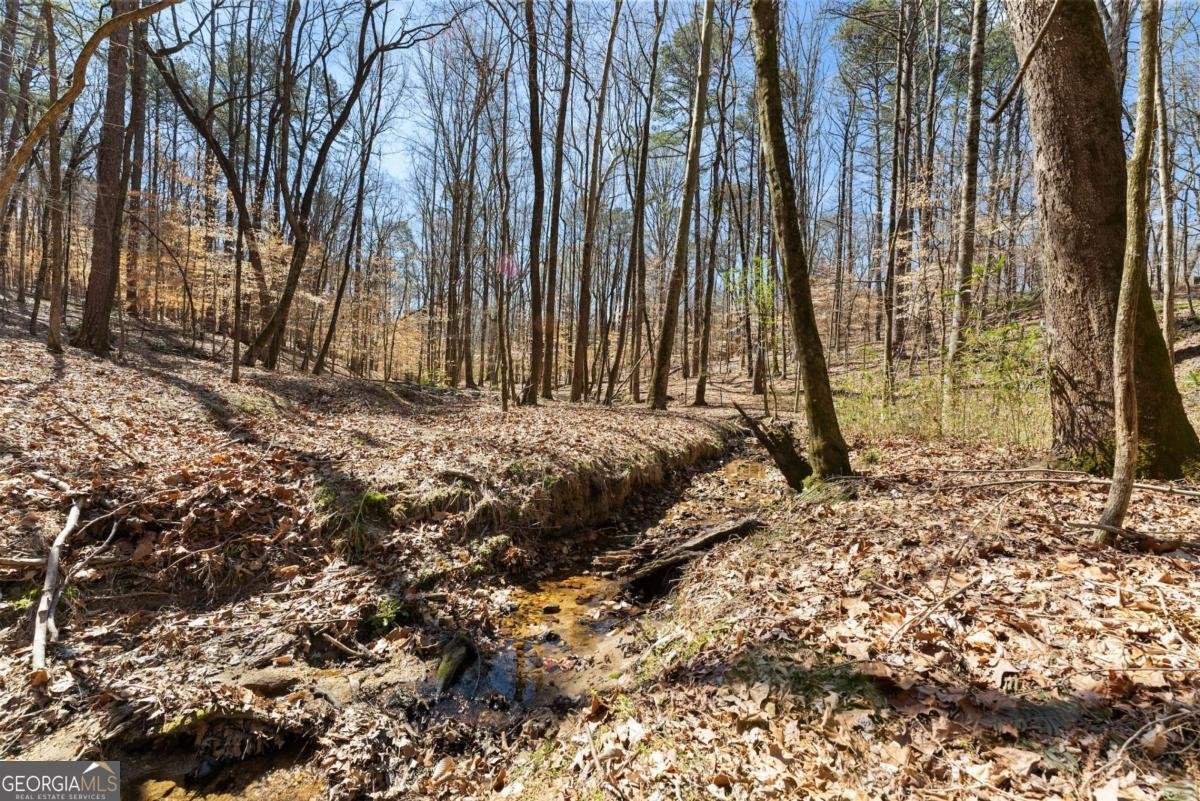 400 Surveyors Point Suwanee - 47