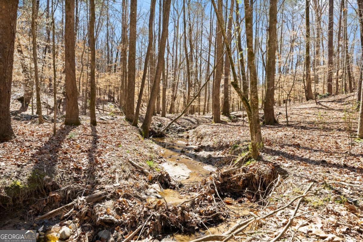 400 Surveyors Point Suwanee - 48